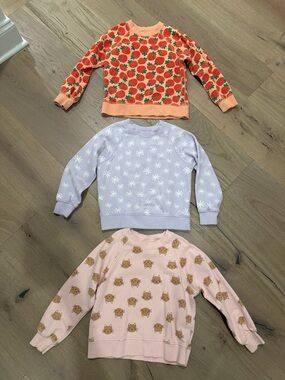 Hanna Andersson Peach Strawberry, Lavender Daisy & Blush Cat Sweatshirt Set